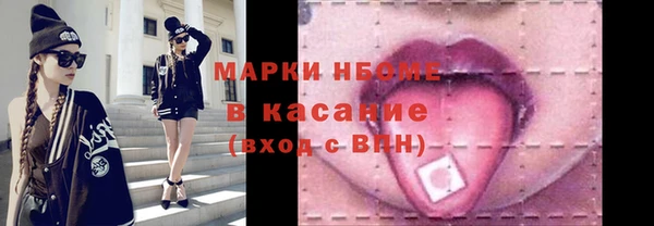 стафф Ельня