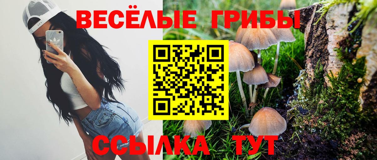Галлюциногенные грибы мицелий Ивантеевка