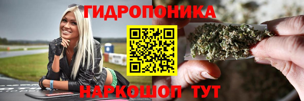 Шишки марихуана сатива Ивантеевка